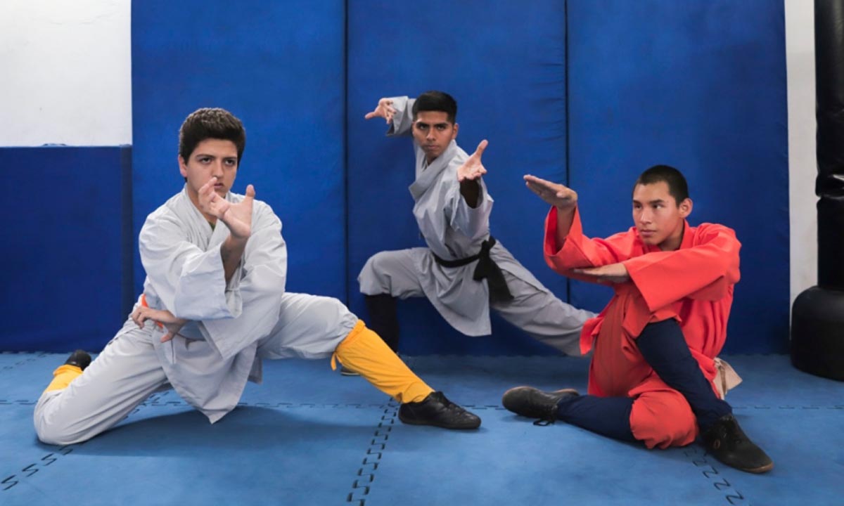 Nacional de Kung Fu Apertura – Ovacion del Sur